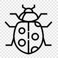 ladybug ikon svg