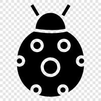 ladybug icon svg