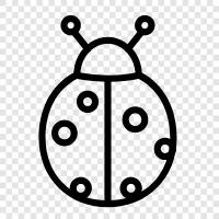 ladybugs, cartoon, cartoon character, comic book icon svg