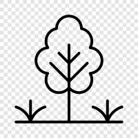 landscape, flower, plant, gardening icon svg