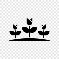 landscaping, gardening, plants, fertilizer icon svg