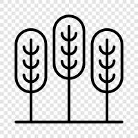 landscaping, gardening, plants, flowers icon svg