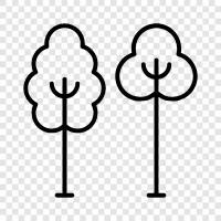 landscaping, plants, flowers, vegetables icon svg