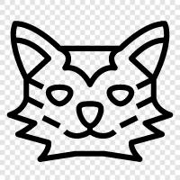 laperm for cats, laperm for cats sale, laper, laperm cat icon svg