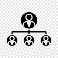 leadership, management, organization, structure icon svg