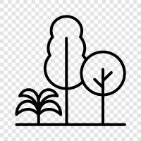 leaf, leaves, bark, trunk icon svg