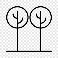 leaf, branches, leaves, bark icon svg