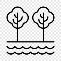 leaf, branch, leaves, cone icon svg