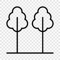 leaf, leaves, bark, trunk icon svg