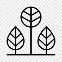 leaf, branch, bark, sap icon svg