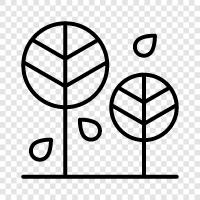 leaf, bark, branches, leaves icon svg