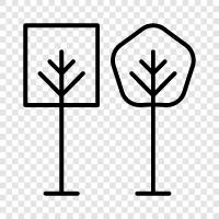 leaf, bark, leaves, stem icon svg