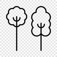 leaf, bark, leaves, branches icon svg