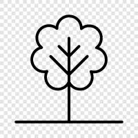 leaf, bark, leaves, trunk icon svg