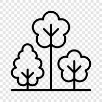 leaf, bark, leaves, branches icon svg