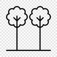 leaf, bark, leaves, branches icon svg