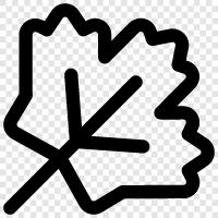 Leafs, Canadian Flag, Maple Leaf Flag, Maple Leaf Shirt icon svg