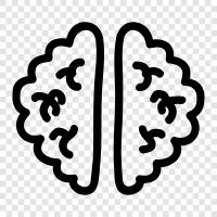 Lernen, Gedächtnis, Intelligenz, Neuron symbol