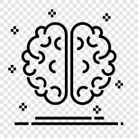 learning, memory, cognitive function, neuroscience icon svg