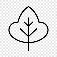 leaves, foliage, tree, forest icon svg