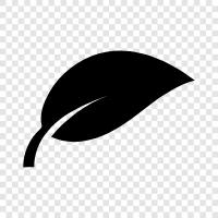 leaves, tree, foliage, growth icon svg