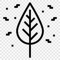 leaves, trees, growth, leaves falling icon svg