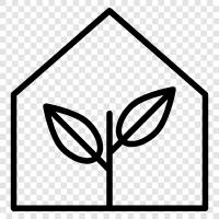 leaves, home garden, gardening, plants icon svg