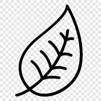 leaves, foliage, tree, leaves on a tree icon svg