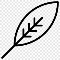 leaves, tree, forest, growth icon svg