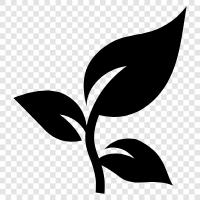 leaves, tree, growth, photosynthesis icon svg