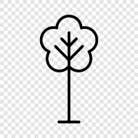 leaves, bark, branches, twigs icon svg