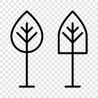 leaves, bark, branches, nuts icon svg