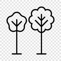 leaves, bark, branches, roots icon svg