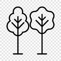 leaves, bark, branches, roots icon svg