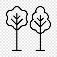 leaves, branches, bark, flowers icon svg