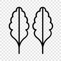 leaves, bark, branches, leaf icon svg