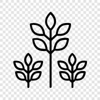 leaves, bark, trunk, branches icon svg