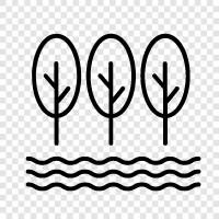 leaves, bark, branches, roots icon svg