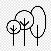 leaves, bark, branches, roots icon svg