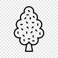 leaves, bark, branches, trunk icon svg