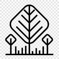 leaves, bark, branches, needles icon svg