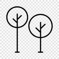 leaves, bark, fruit, seed icon svg