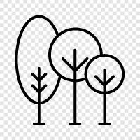 leaves, bark, branches, sap icon svg