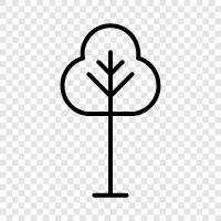 leaves, bark, growth, flowers icon svg