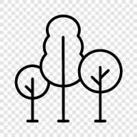 leaves, bark, branches, roots icon svg