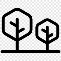 leaves, bark, branches, roots icon svg