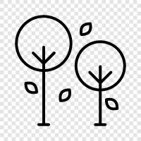 leaves, bark, branches, roots icon svg