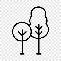 leaves, bark, stems, growth icon svg