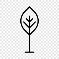 leaves, bark, trunk, branches icon svg