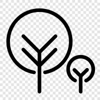 leaves, branches, bark, trunk icon svg